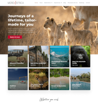 iDesignsite Portfolio 17 1